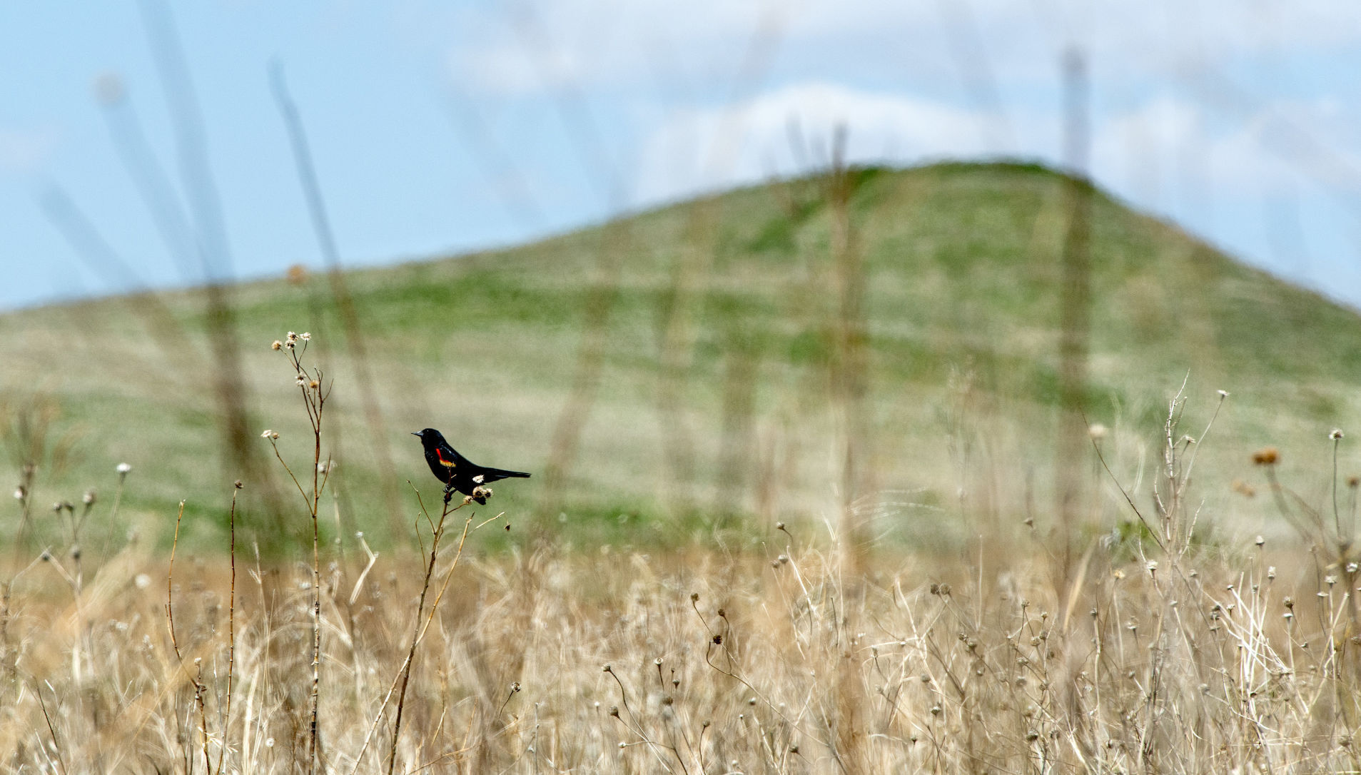Lewis and Clark National Historic Trail